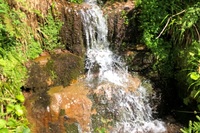 Wasserfall_Teaser